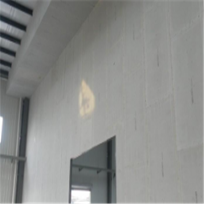 剑川宁波ALC板|EPS加气板隔墙与混凝土整浇联接的实验研讨